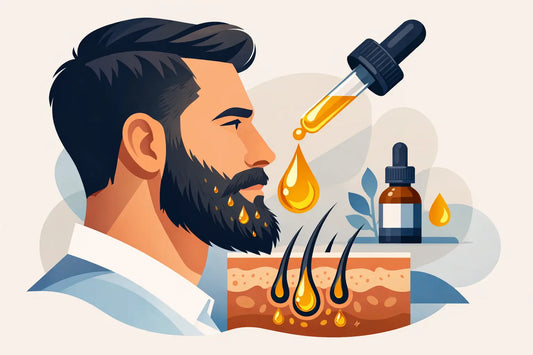 Pourquoi la barbe absorbe l’huile si vite ?